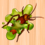 Kill The Cockroach